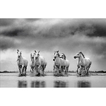 Книга Beusker. Look into my Eyes варинант исполнения - 4 | Loft Concept в Самаре