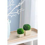 Декоративный искусственное растение Square boxwood варинант исполнения - 5 | Loft Concept в Самаре