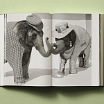 Книга в подарок творческий путь Брюса Вебера Bruce Weber. My Education варинант исполнения - 6 | Loft Concept в Самаре