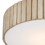 Потолочный светильник круглый светодиодный Contrasting Elements варинант исполнения - 1 | Loft Concept в Самаре