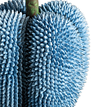 Статуэтка тропический фрукт Tropical Fruit blue варинант исполнения - 3 | Loft Concept в Самаре