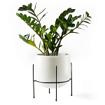 Кашпо из керамики Elevated Planters 32 варинант исполнения - 11 | Loft Concept в Самаре