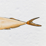 Плитка с узором Рыба Русалка варинант исполнения - 6 | Loft Concept в Самаре