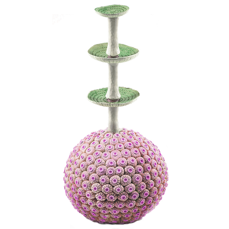 Статуэтка розовый экзотический фрукт Exotic Tropical Fruit 61 Зеленый Розовый в Самаре | Loft Concept 