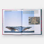 Radical Architecture of the Future варинант исполнения - 4 | Loft Concept в Самаре