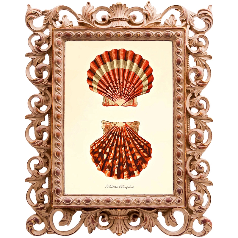 Постер Red Scallop Poster Бежевый Красный в Самаре | Loft Concept 