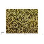 Редкое подарочное издание Yayoi Kusama: 1945 to Now варинант исполнения - 7 | Loft Concept в Самаре