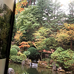 Книга Kengo Kuma: Japanese Portland Garden Bognar Botond, Bognar Balazs варинант исполнения - 2 | Loft Concept в Самаре