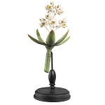 Статуэтка Wonderboom варинант исполнения - 1 | Loft Concept в Самаре