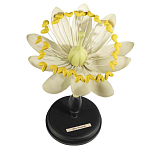 Статуэтка Tilia варинант исполнения - 1 | Loft Concept в Самаре