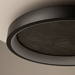 Потолочный светильник Orign 3000К варинант исполнения - 5 | Loft Concept в Самаре