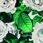 Штора Seletti Roses варинант исполнения - 1 | Loft Concept в Самаре