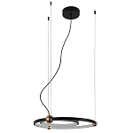Люстра подвесная светодиодная черный металл Ring Horizontal варинант исполнения - 2 | Loft Concept в Самаре