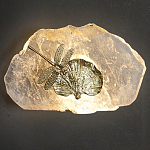 Бра Декоративный лист с стрекозой Glacial Fragment варинант исполнения - 2 | Loft Concept в Самаре