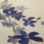 Обои ручная роспись Cherry Tree Original colourway on Stone Ochre dyed silk варинант исполнения - 3 | Loft Concept в Самаре