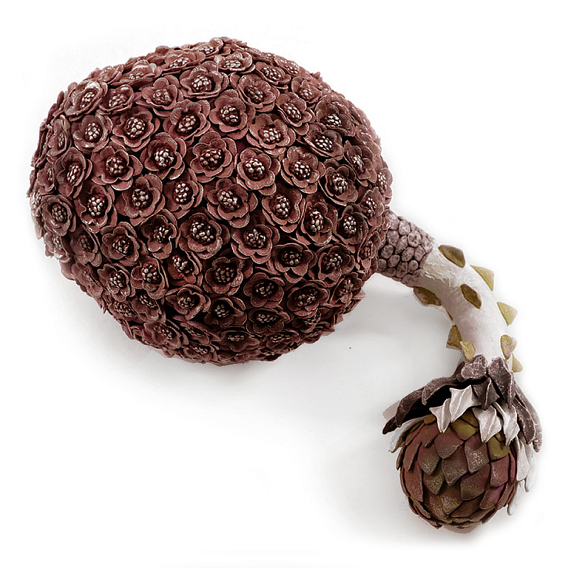 Коричневый фрукт Exotic Fruit Artichoke Brown 42 Коричневый Коричневый фрукт Exotic Fruit Artichoke Brown 42 Коричневый в Самаре | Loft Concept