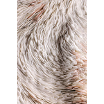 Панно серии «Powder» пудра варинант исполнения - 2 | Loft Concept в Самаре