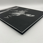 Коллекционная редкая книга Madonna: Nudes + by Martin H.M. Schreiber 2017 Букинистика варинант исполнения - 4 | Loft Concept в Самаре