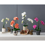 Декоративный искусственное растение Pink orchid варинант исполнения - 11 | Loft Concept в Самаре