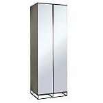 Двухдверный шкаф с зеркальными дверцами Strict Lines варинант исполнения - 1 | Loft Concept в Самаре