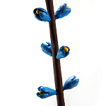 Синий экзотический фрукт статуэтка для интерьераTropical Fruit Pandora 9 варинант исполнения - 2 | Loft Concept в Самаре