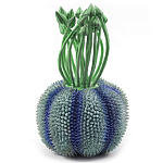 Статуэтка экзотический фрукт Exotic Tropical Fruit Green and Blue 64 варинант исполнения - 1 | Loft Concept в Самаре