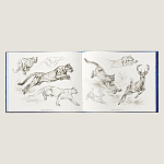 Лимитированная подарочная книга HERMES Fierce and Fragile book, English version варинант исполнения - 4 | Loft Concept в Самаре