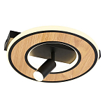 Потолочный светильник круглый GAVIN WOOD варинант исполнения - 1 | Loft Concept в Самаре