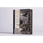 Книга Fantastic Gustave Dore варинант исполнения - 3 | Loft Concept в Самаре