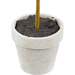 Декоративный искусственное растение Boxwood One варинант исполнения - 3 | Loft Concept в Самаре