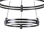 Люстра светодиодная с 2-мя плафонами в форме колец из акрила и алюминия с пультом для регулировки света Ring Horizontal Black варинант исполнения - 2 | Loft Concept в Самаре