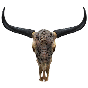 Череп буйвола c орнаментом