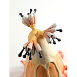 Статуэтка тропический фрукт Pandora Tropical Fruit Orange варинант исполнения - 3 | Loft Concept в Самаре