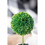 Декоративный искусственное растение Boxwood One варинант исполнения - 8 | Loft Concept в Самаре