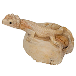 Статуэтка из дерева ящерица Animals of the World варинант исполнения - 2 | Loft Concept в Самаре