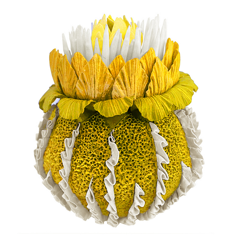 Желтый Экзотический фрукт Yellow Pandora Exotic Fruit  44 Желтый в Самаре | Loft Concept 