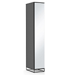 Шкаф-пенал с зеркальной дверцей и фасадом цвета графит Strict Lines варинант исполнения - 2 | Loft Concept в Самаре