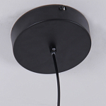 Люстра подвесная светодиодная черный металл Ring Horizontal варинант исполнения - 6 | Loft Concept в Самаре