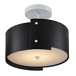 Потолочный светильник круглый светодиодный Semicircular White Panels чёрный варинант исполнения - 2 | Loft Concept в Самаре