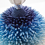 Статуэтка Синий тропический фрукт Tropical Fruit Pandora 4 варинант исполнения - 1 | Loft Concept в Самаре