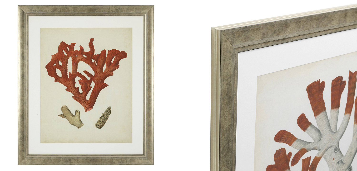 Комплект постеров Eichholtz Prints Antique Red Corals set of 6 Комплект постеров Eichholtz Prints Antique Red Corals set of 6 - Loft-Concept в Самаре