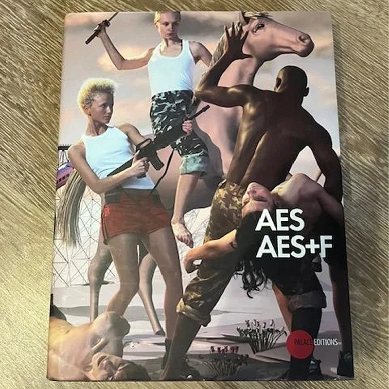 Подарочный Альбом группы AES AES+F  в Самаре | Loft Concept 