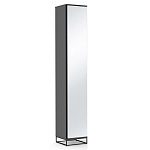 Шкаф-пенал с зеркальной дверцей и фасадом цвета графит Strict Lines варинант исполнения - 1 | Loft Concept в Самаре