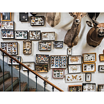 Книга Extraordinary Collections: French Interiors варинант исполнения - 11 | Loft Concept в Самаре