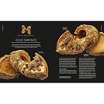 Книга Treasures of India From Antiquity to Modernity варинант исполнения - 3 | Loft Concept в Самаре