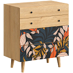 Комод с принтом на ящиках Elise Chest of Drawers варинант исполнения - 2 | Loft Concept в Самаре