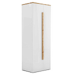 Шкаф платяной с белым глянцевым фасадом Grace of Furniture варинант исполнения - 1 | Loft Concept в Самаре