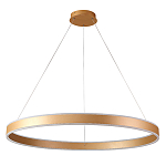 Люстра подвесная светодионая кольцевая золотого цвета Ring Horizontal варинант исполнения - 1 | Loft Concept в Самаре