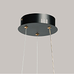 Люстра с прозрачным волнистым плафоном в форме цветка Ethereal Bloom варинант исполнения - 11 | Loft Concept в Самаре