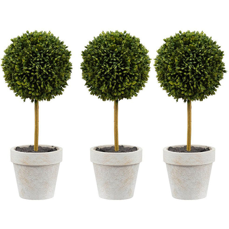 Декоративный искусственное растение Boxwood One Зеленый Бежевый Коричневый Декоративный искусственное растение Boxwood One Зеленый Бежевый Коричневый в Самаре | Loft Concept